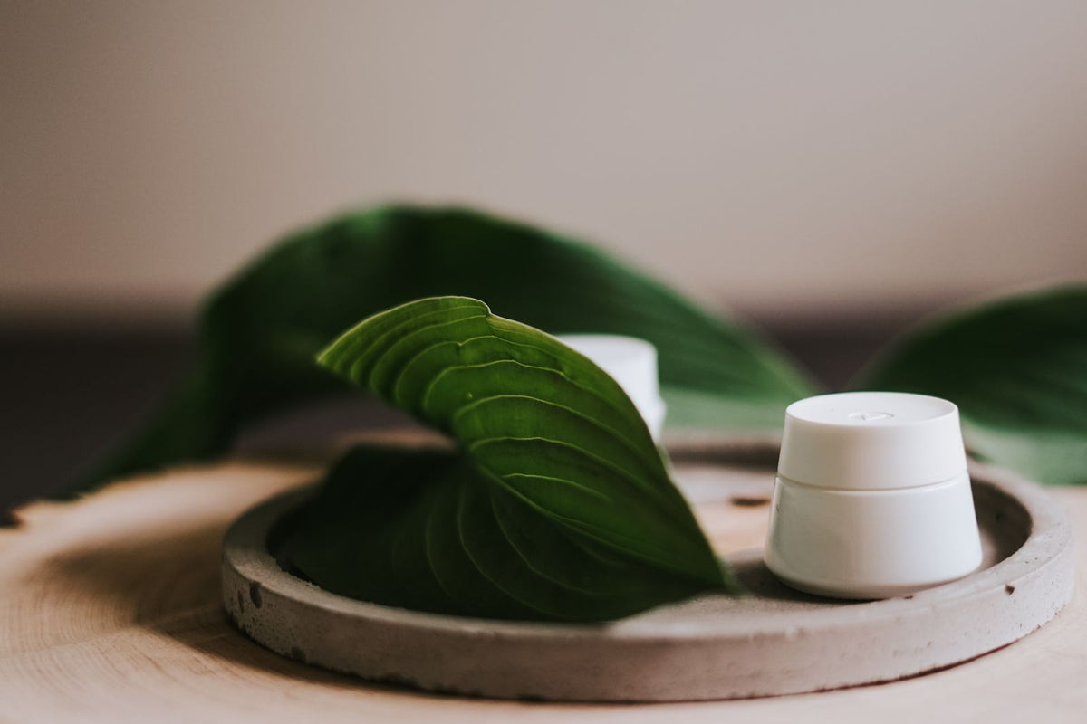 Cream jar beside fresh green leaves on a stone tray