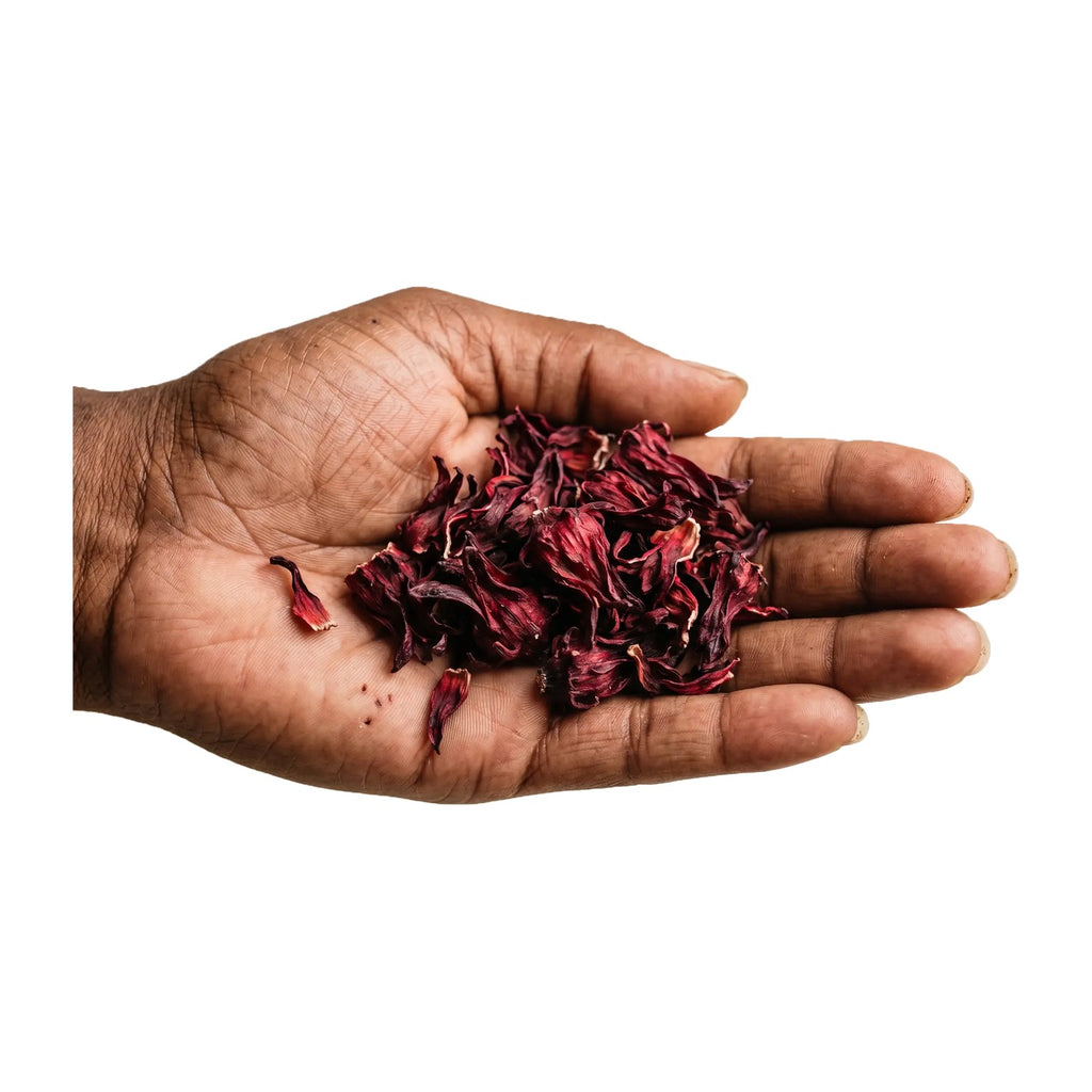 Dried hibiscus flowers held in a hand